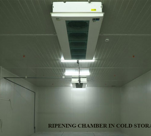 Ripening-chamber-in-cold-storage-building